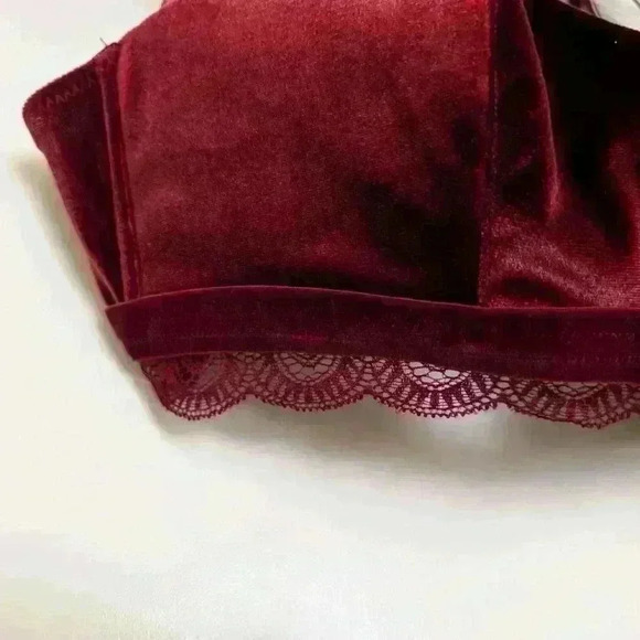 Abs Gatsby velvet bralette bnwt size L - Picture 3 of 8